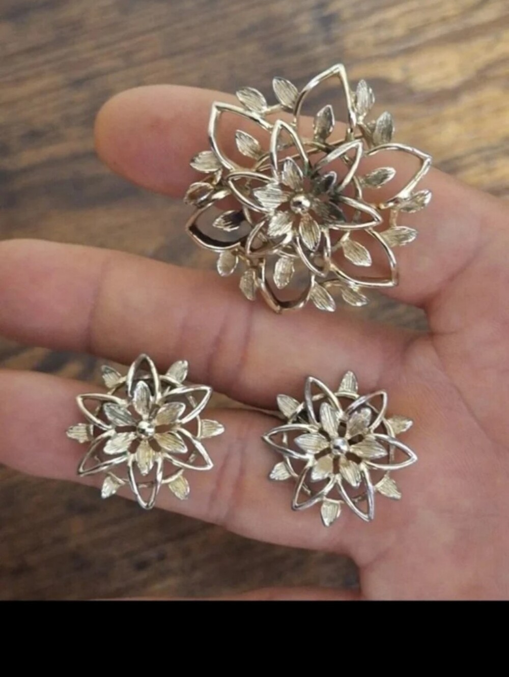 Vintage 1960s Sarah Coventry Peta-Lure Set Of Floral Brooch & Clip On Earrings.